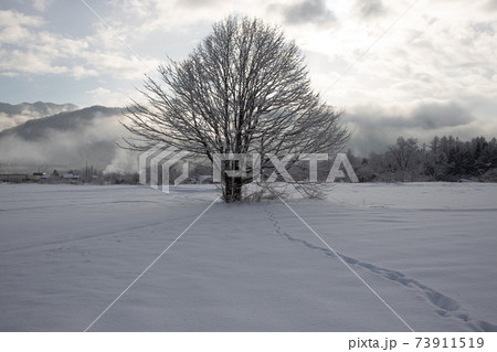 白馬の冬景色 73911519