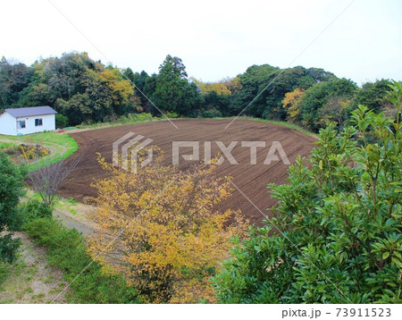 大クス展望公園 in 千葉県香取市 大クス展望公園 in 千葉県香取市 73911523