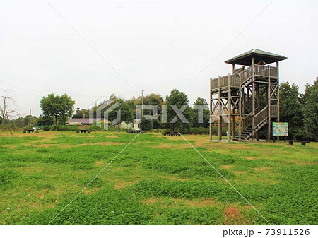大クス展望公園 in 千葉県香取市 大クス展望公園 in 千葉県香取市 73911526