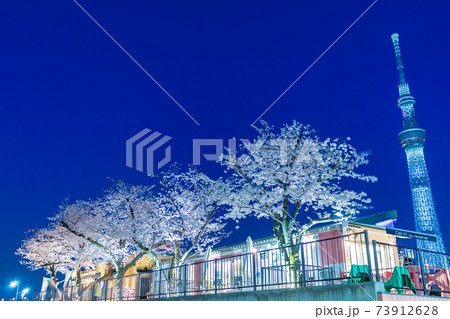 東京スカイツリーと桜（隅田川公園） 73912628
