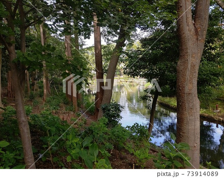 名所　東京都品川区立戸越公園　 73914089