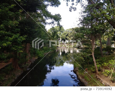 名所 東京都品川区立戸越公園 名所 東京都品川区立戸越公園 73914092