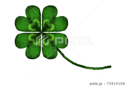 四葉のクローバーのイラスト素材