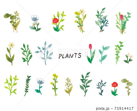 カジュアルなタッチ シンプルでナチュラルなボタニカル植物のイラストセットのイラスト素材