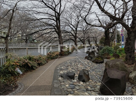 東京都新宿区立 神田上水公園 新宿30選 神田川沿い遊歩道延長約600m 東中野駅 和3年撮影 東京都新宿区立 神田上水公園 新宿30選 神田川沿い遊歩道延長約600m 東中野駅 和3年撮影 73915600
