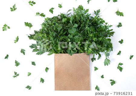 Fresh bunch of cilantro, coriander or parsley in paper bag isolated on white 73916231
