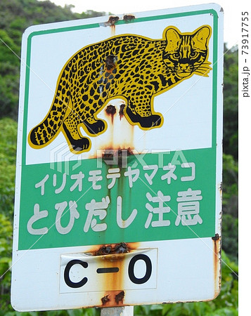 沖縄県･西表島･イリオモテヤマネコ注意喚起 73917755