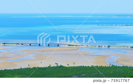 沖縄県･西表島･マングローブ 73917767