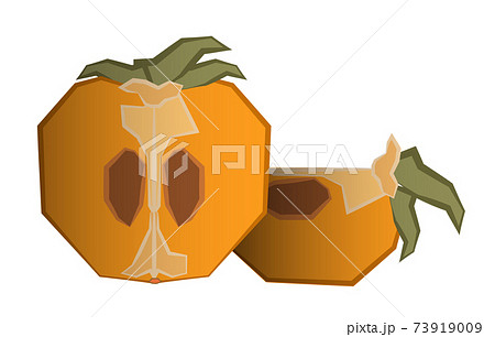 persimmon cut into pieces polygonal style. Isolated vector on white background persimmon cut into pieces polygonal style. Isolated vector on white background 73919009