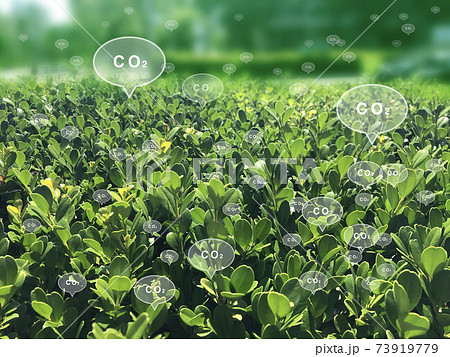 CO2排出 73919779