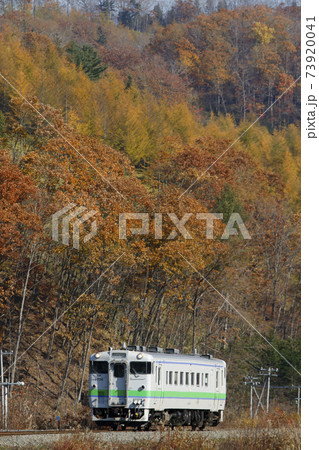 紅葉を背に駆ける根室本線普通列車　JR根室本線 73920041