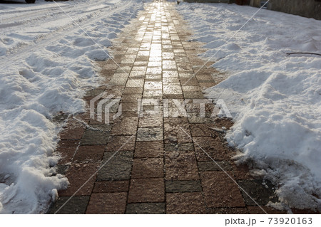A sidewalk is cleared of snow. 73920163