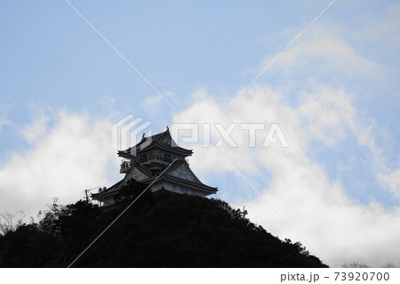 冬空の岐阜城 73920700