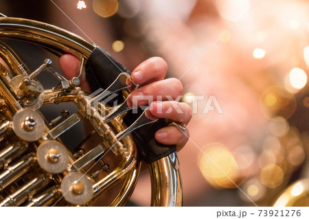 Horn professional player with symphony orchestra performing Horn professional player with symphony orchestra performing 73921276