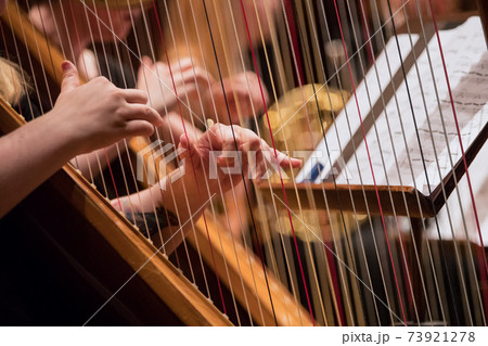 Harp professional player with symphony orchestra performing 73921278