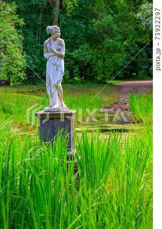 Marble statue Venus Italian in Pavlovsk Park, Russia Marble statue Venus Italian in Pavlovsk Park, Russia 73922297