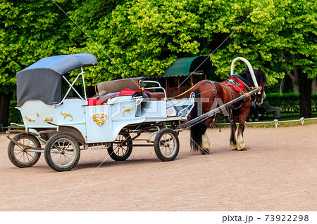 Empty horse-drawn carriage in a green park Empty horse-drawn carriage in a green park 73922298