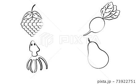 Fruit and Vegetables icon set. Vegan natural...のイラスト素材 [73922751] - PIXTA