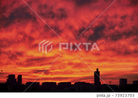 City Skyline at Sunset City Skyline at Sunset 73923703