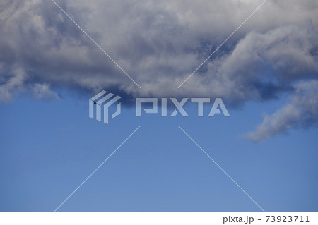 Seagull flying between clouds 73923711