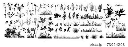 The silhouette of the grass big set. Vector illustration 73924208