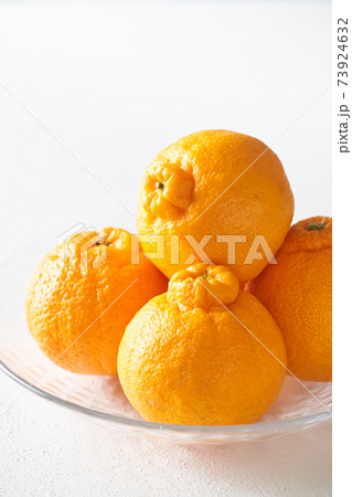 グラスの器に盛られたデコポン（不知火） 73924632