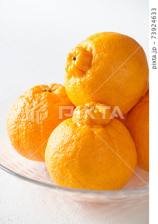 グラスの器に盛られたデコポン（不知火） 73924633