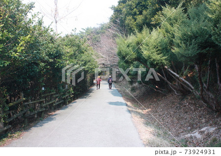 散歩 遊歩道 歩く 73924931