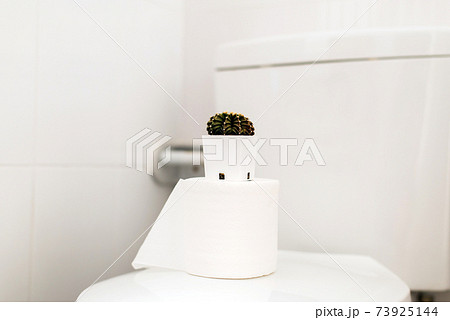 Beautiful green cactus in restroom,Concept for hemorrhoids,Constipation disease 73925144