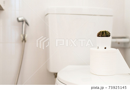 Beautiful green cactus in restroom,Concept for hemorrhoids,Constipation disease 73925145