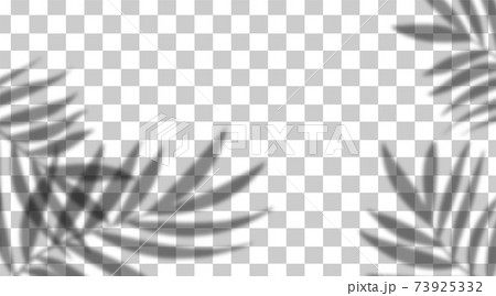 Vector shadow overlay effect. Transparent soft light and shadows from branches, plant and leaves. Mockup of transparent leaf shadow and natural lightning. Vector shadow overlay effect. Transparent soft light and shadows from branches, plant and leaves. Mockup of transparent leaf shadow and natural lightning. 73925332