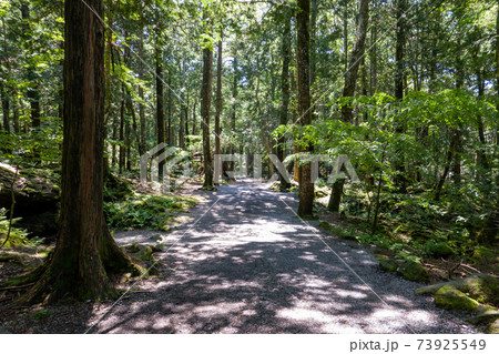 富岳風穴の道中 富岳風穴の道中 73925549