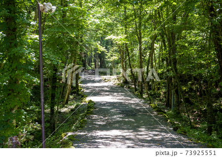 富岳風穴の道中 富岳風穴の道中 73925551