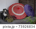 玄関に、赤色と青色番傘、並ぶ陶器の狸、並ぶ。 73926834
