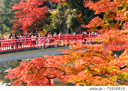 紅葉の香嵐渓 待月橋 巴川の写真素材