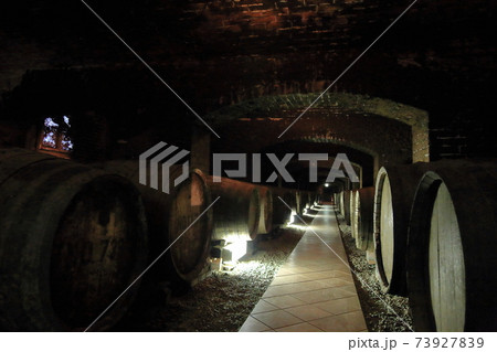 シャトーカミヤ　牛久シャトー 73927839