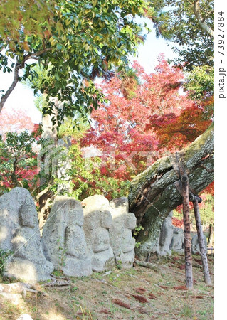 大覚寺大沢池 秋の石仏 大覚寺大沢池 秋の石仏 73927884