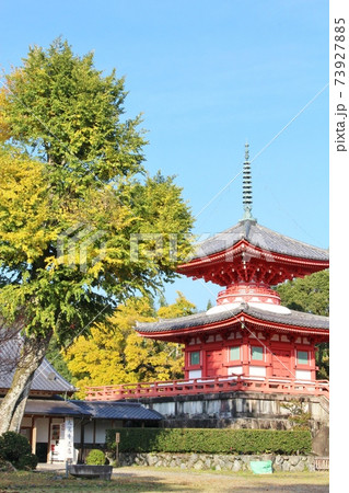 大覚寺大沢池 秋の紅葉と心経宝塔 大覚寺大沢池 秋の紅葉と心経宝塔 73927885
