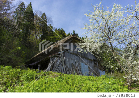 春の里山の風景 春の里山の風景 73928013