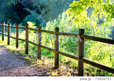Wooden fence, countryside road. Green trees in park with pathway. Wooden fence, countryside road. Green trees in park with pathway. 73928755