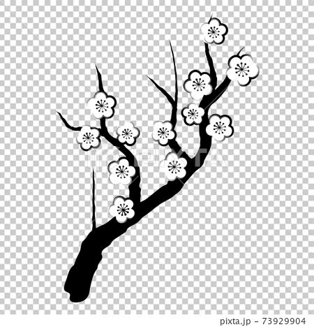 梅の木の墨絵風イラスト ベクター 白背景 切り抜き のイラスト素材