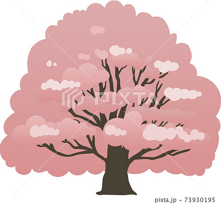 満開の桜の木 73930195