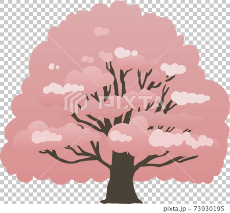 満開の桜の木 73930195