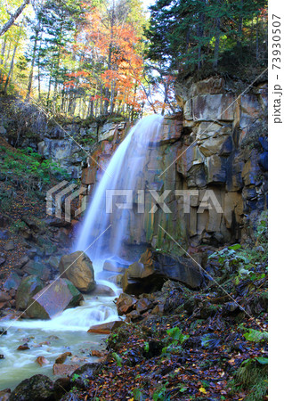 白藤の滝 73930507