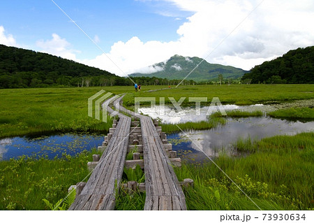 夏の尾瀬 ハイキング 73930634
