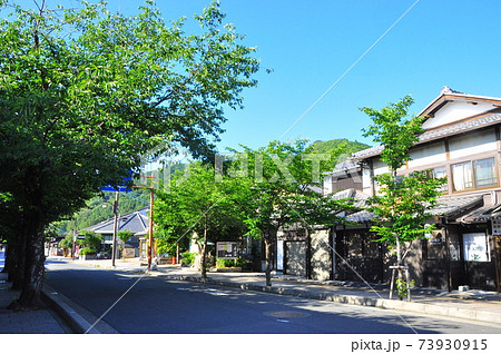 京都の町並み　嵐山メインストリートの嵐山商店街と新緑 73930915