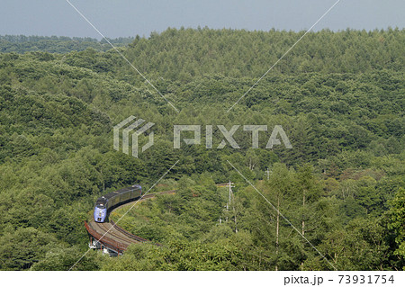 狩勝峠を行く特急おおぞら 根室本線 石勝線 狩勝峠を行く特急おおぞら 根室本線 石勝線 73931754