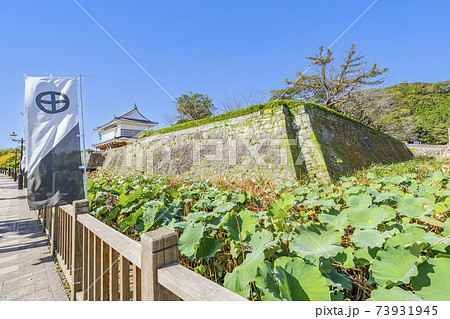 鹿児島県鹿児島市 鶴丸城(鹿児島城)跡 鹿児島県鹿児島市 鶴丸城(鹿児島城)跡 73931945