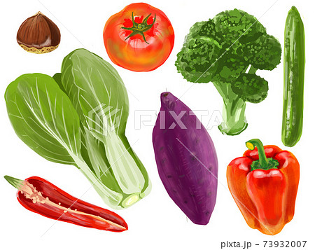 お野菜色々イラストセット 73932007