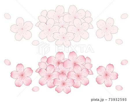 桜の花束のイラストセット デッサン風の線画とシンプルな手描きの線画のイラスト素材